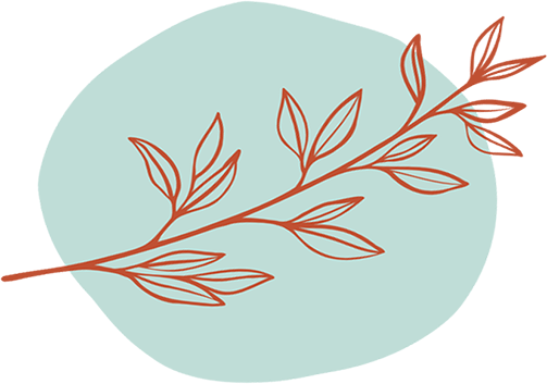 plante-01web2