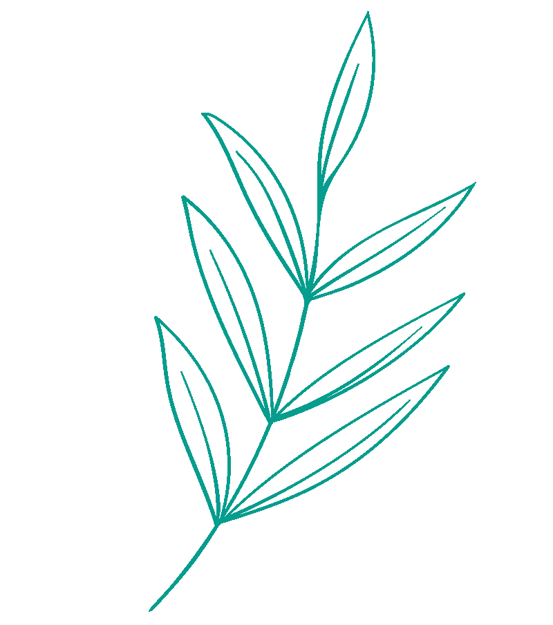 vegetaux VAweb