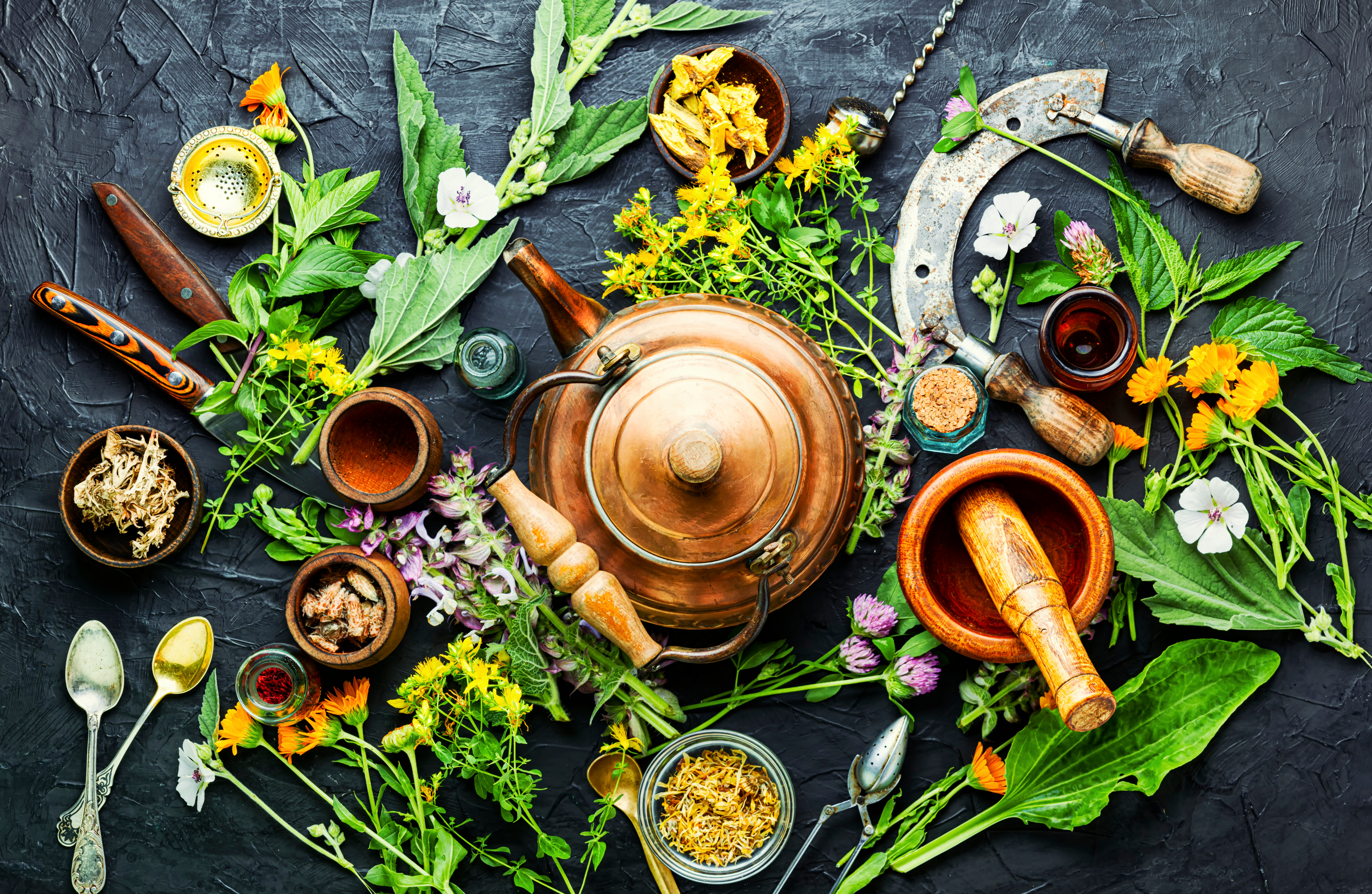 Fresh healing herbs