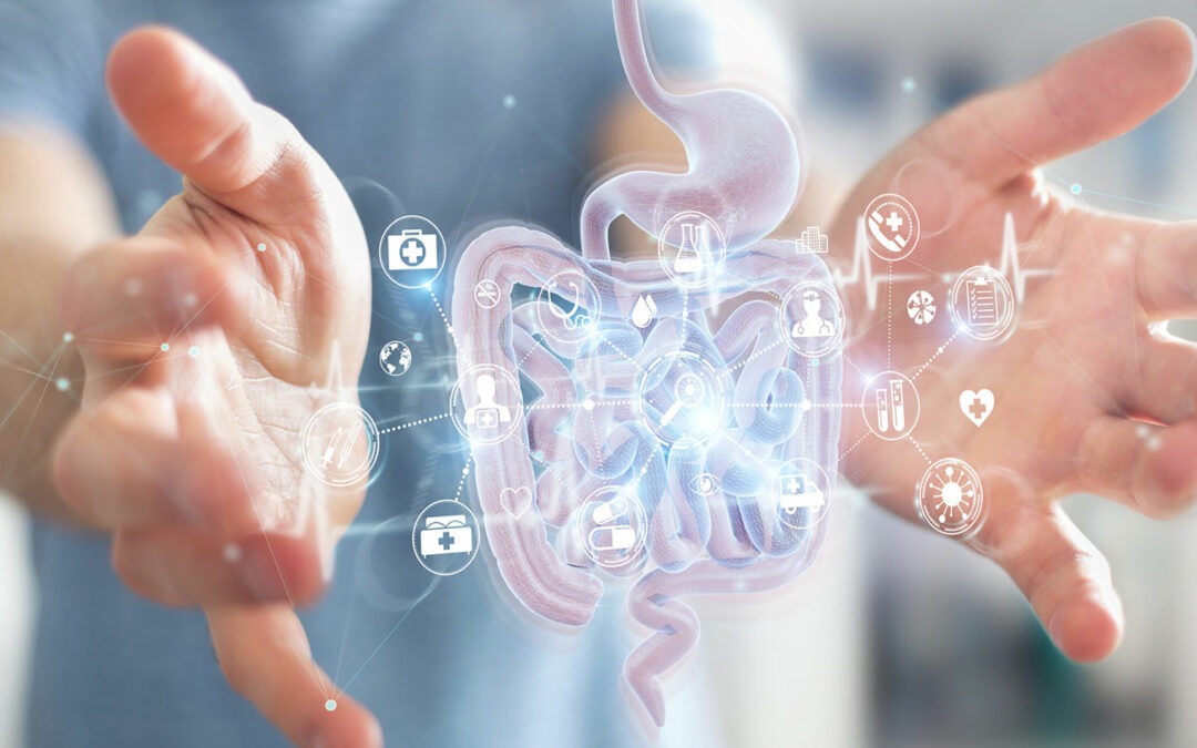 Syndrome de l’Intestin Irritable ( SII ) ou colopathie fonctionnelle, un trouble mal connu