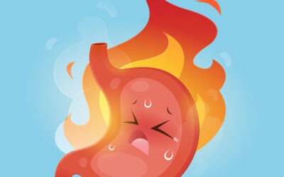 Brûlures d’estomac, remontées acides, lourdeurs digestives, causes et solutions naturelles